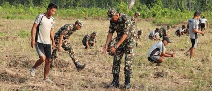 द्रुतमार्ग प्रभाव क्षेत्रमा तेस्रो चरणको वृक्षरोपणको प्रक्रिया शुरु