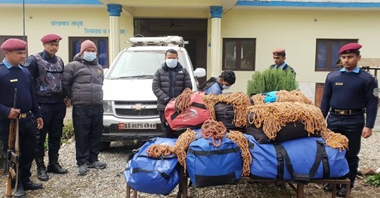 बुद्धचित्त र रुद्राक्षसहित तीन जना पक्राउ
