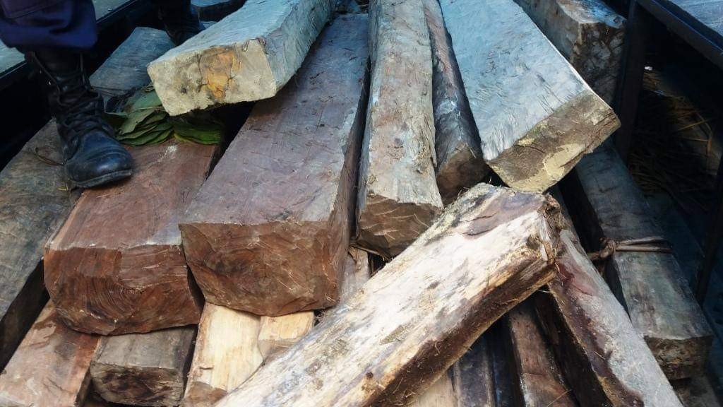 लुकाई छिपाई राखेको काठ बरामद