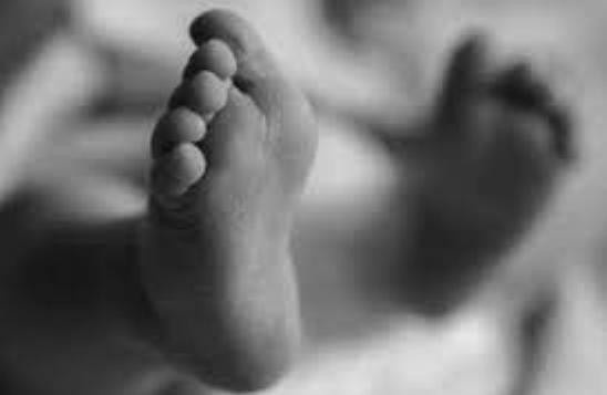 गुडिरहेको मोटरसाइकलमा हाँगाले लागेर २ वर्षीया बालिकाको मृत्यु
