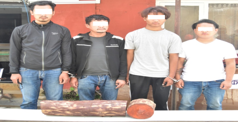 २१ किलो रक्तचन्दनसहित काठमाडौंको बौद्धबाट ४ जना पक्राउ