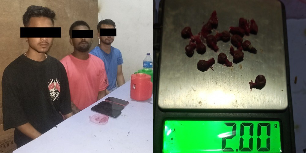 दाङमा लागूऔषधसहित ३ जना पक्राउ
