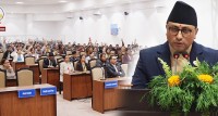 प्रतिनिधि सभाबाट आगामी आर्थिक वर्षको बजेट पारित