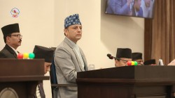 विपदको पूर्वतयारी र सुरक्षित यातायात व्यवस्था गर्न सरकारलाई निर्देशन