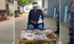 साढे दुई करोड रूपैयाँ मूल्यको सुनका गरगहनासहित महिला पक्राउ