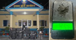 मोरङ र सुनसरीमा ब्राउन सुगरसहित चार जना पक्राउ, ४३० किलो गाँजा बरामद