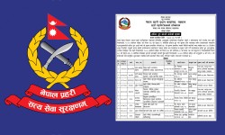 सात दिनभित्र हाजिर नभए यी प्रहरी कर्मचारीमाथि हुनेछ कारबाही