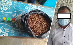 वन पैदावार बोकेको मोटरसाइकलले पैदलयात्रीलाई ठक्कर दिएपछि...