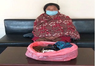 लागूऔषध गाँजा सहित पक्राउ