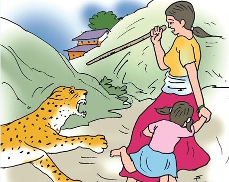साहसी आमा : चितुवासँग लडेर छोरीको उद्धार