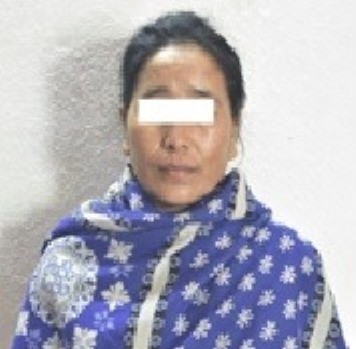 पोल्याण्ड पठाइदिन्छु भन्दै १७ लाख ठगी गर्ने महिला पक्राउ