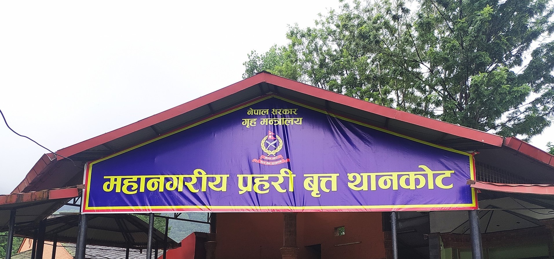 काठमाडौंमा जंगली बँदेल मार्ने ५ जना पक्राउ