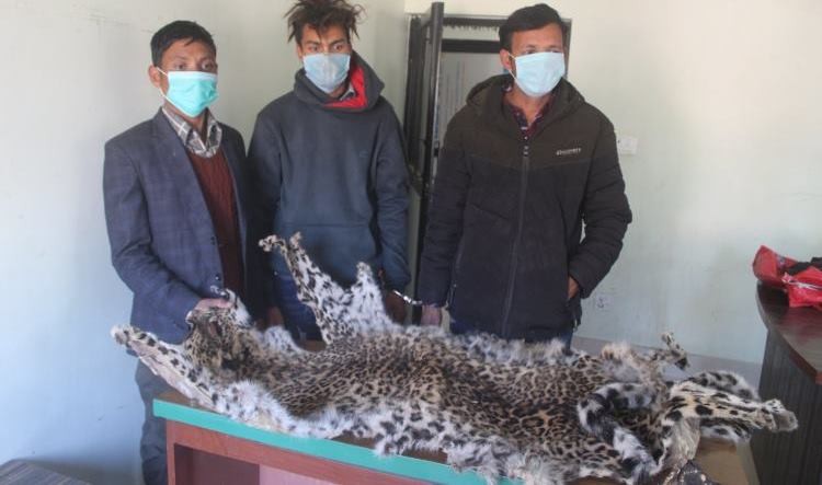 चितुवाको छाला र हड्डीसहित ३ जना पक्राउ