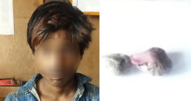 ब्राउन सुगरसहित एक पक्राउ