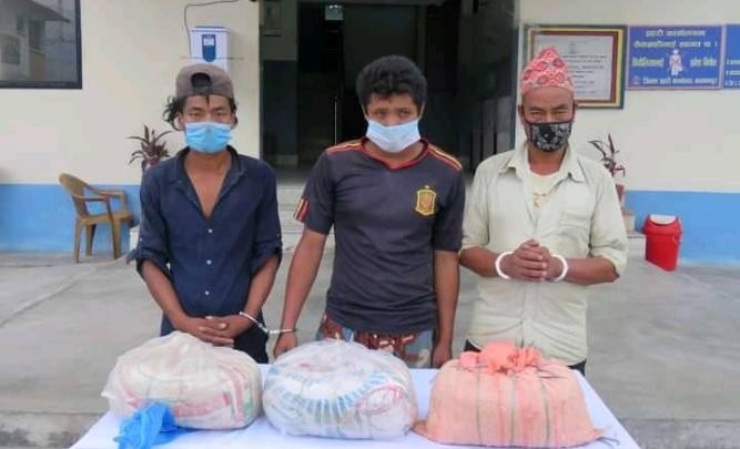 ९ किलो गाँजासहित ३ जना मकवानपुर प्रहरीको नियन्त्रणमा
