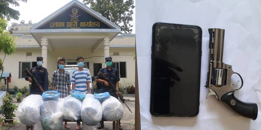 १५० किलो लागूऔषध गाँजा र नक्कली पेस्तोलसहि २ जना पक्राउ