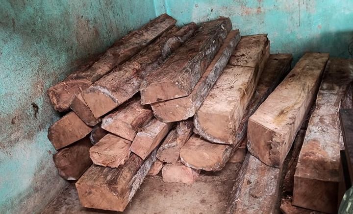 दाङमा अवैध सालको चिरान काठ बरामद