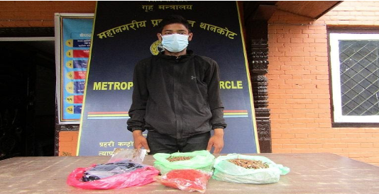 यार्सागुम्बा लगायतका जडिबुटीसहित एक पक्राउ