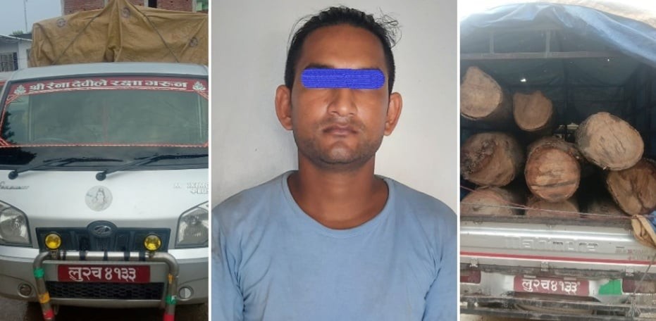 ८ लाख बढीको अबैध काठसहित एक पक्राउ