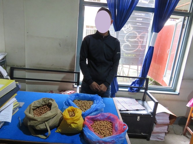 ९ किलो बुद्धचित्तको दानासहित एक पक्राउ