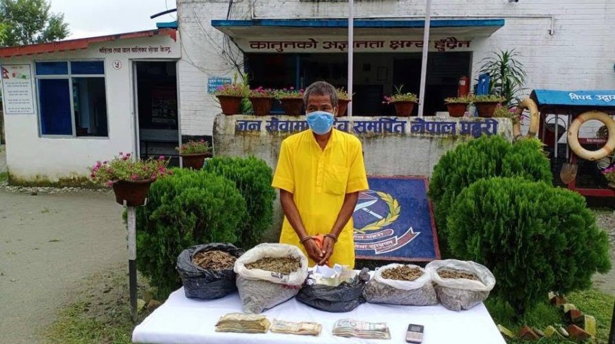 फरार प्रतिवादी गाँजासहित पक्राउ