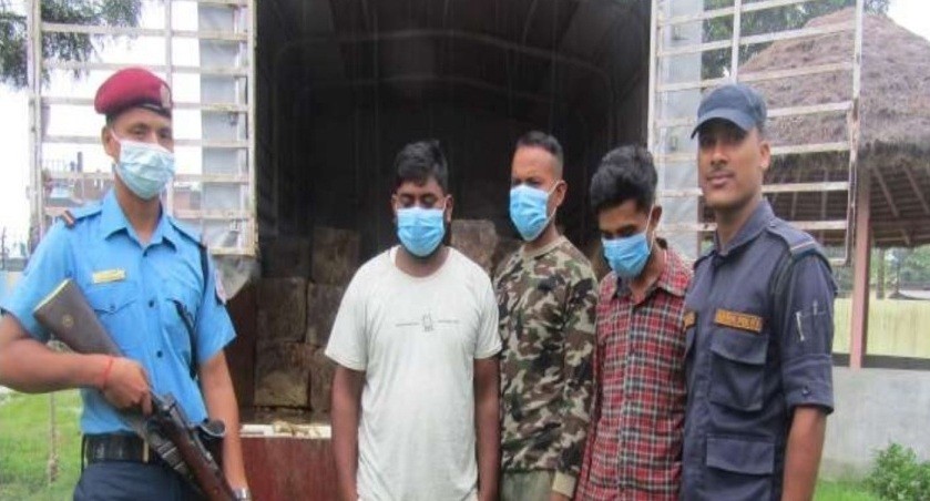 दाङमा अवैध काठसहित ३ जना पक्राउ