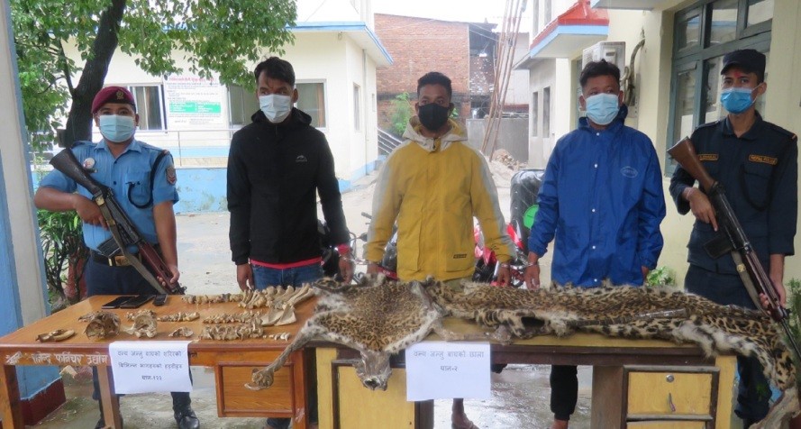 बाघको छाला, खप्पर र हड्डी लगायतका अंगसहित ३ जना पक्राउ