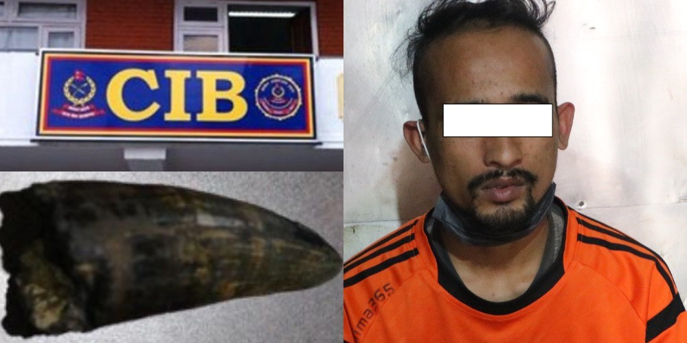 काठमाडौंमा गैंडाको खागसहित एक युवक सीआईबीको फन्दामा