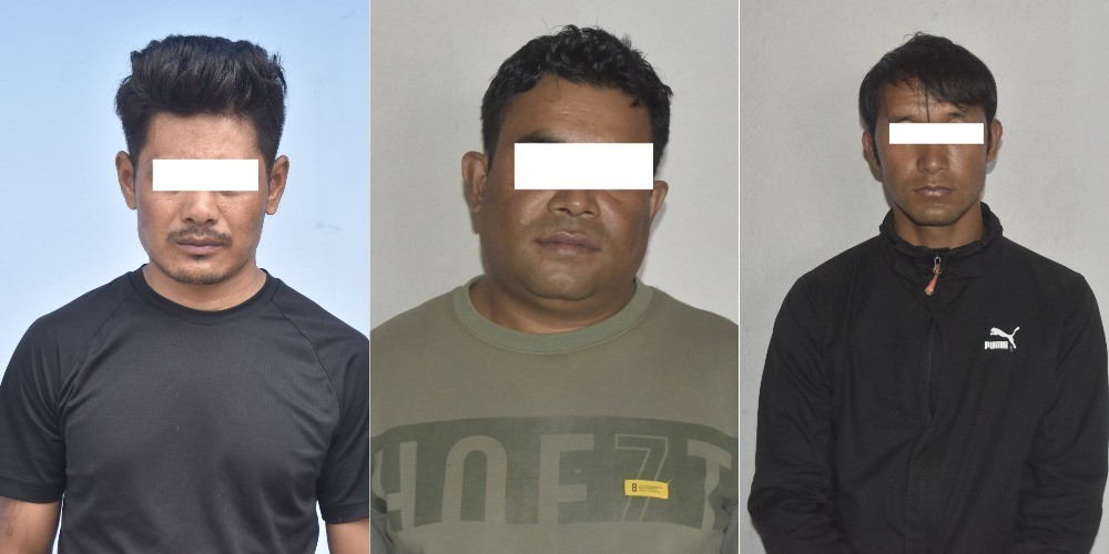 श्रृङ्खलाबद्ध चोरी कार्यमा संलग्न ३ जना पक्राउ