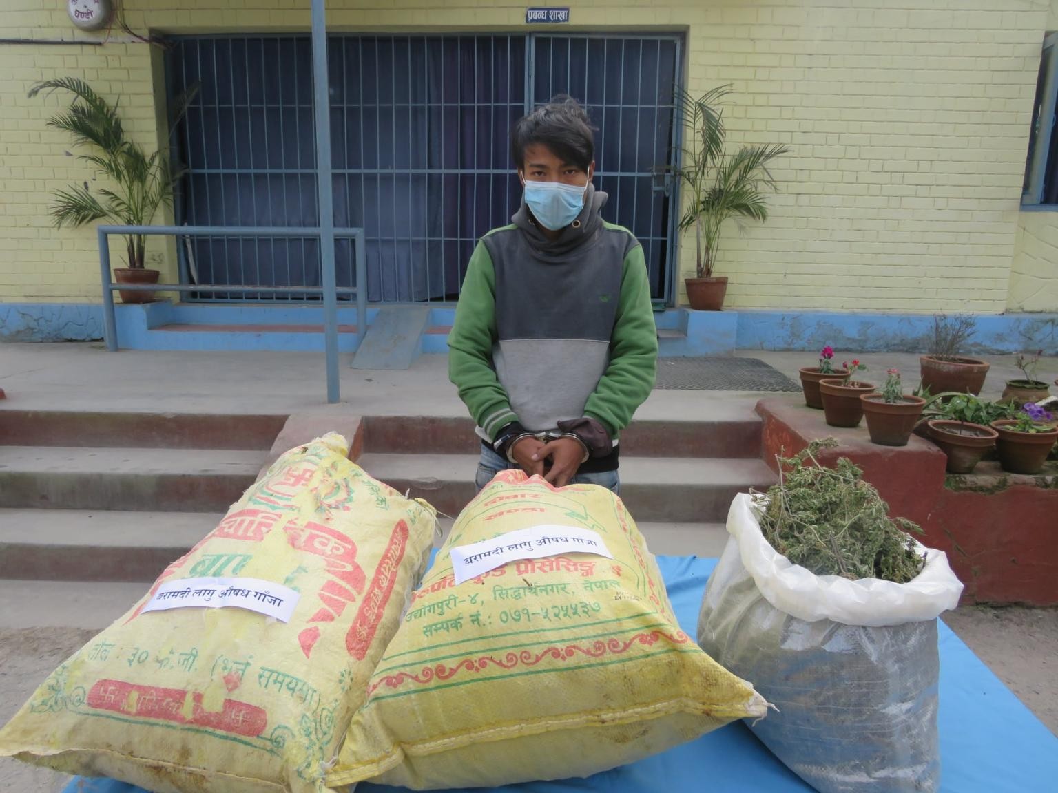 काभ्रेमा ७ किलो गाँजासहित एक पक्राउ