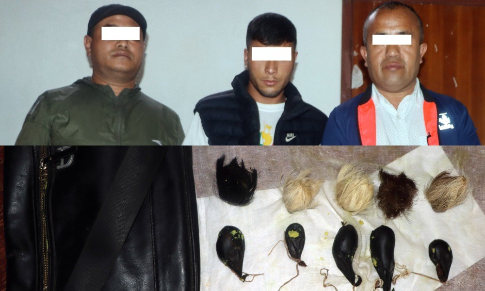 संरक्षित वन्यजन्तुको अखेटोपहारसहित ३ जना पक्राउ