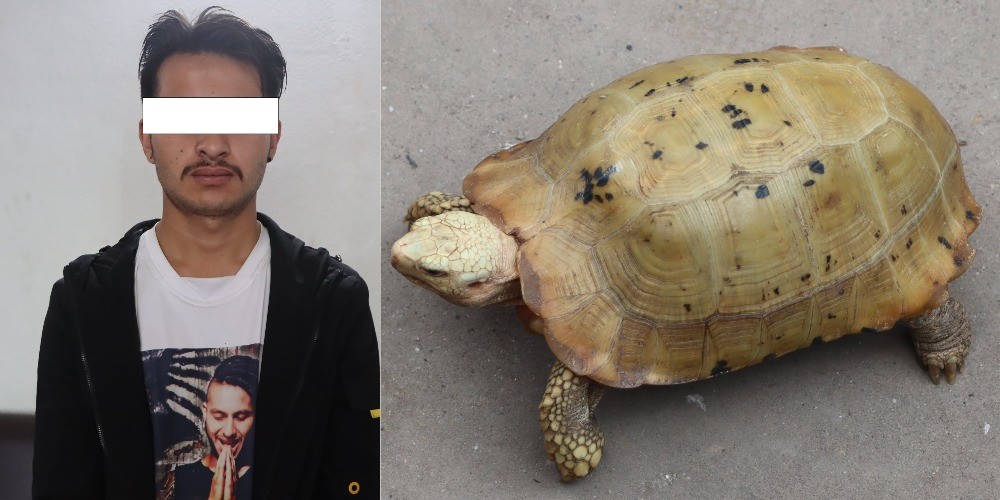 कछुवासहित युवक पक्राउ