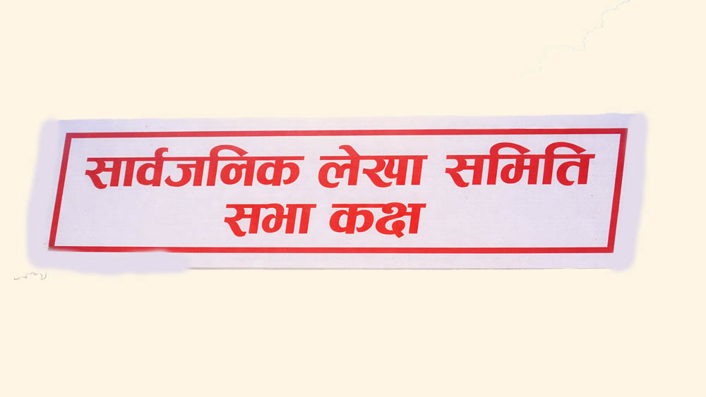सार्वजनिक लेखा समितिको उपसमिति गठनमा भागबण्डा