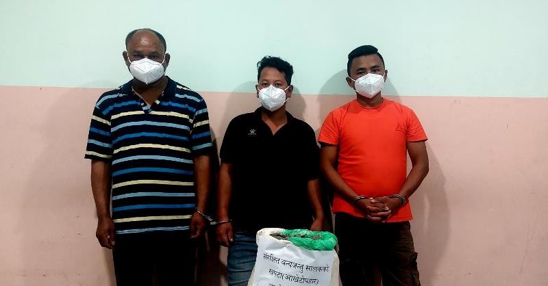 ९ किलो सालकको खपेटासहित ३ जना सीआईबीको फन्दामा