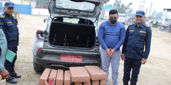 सर्लाहीमा १ सय १६ किलो रिफाईन गाँजा सहित एक पक्राउ