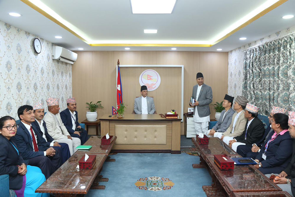 नवनिर्वाचित सभामुख डीपी अर्यालले पदवहाली गरे