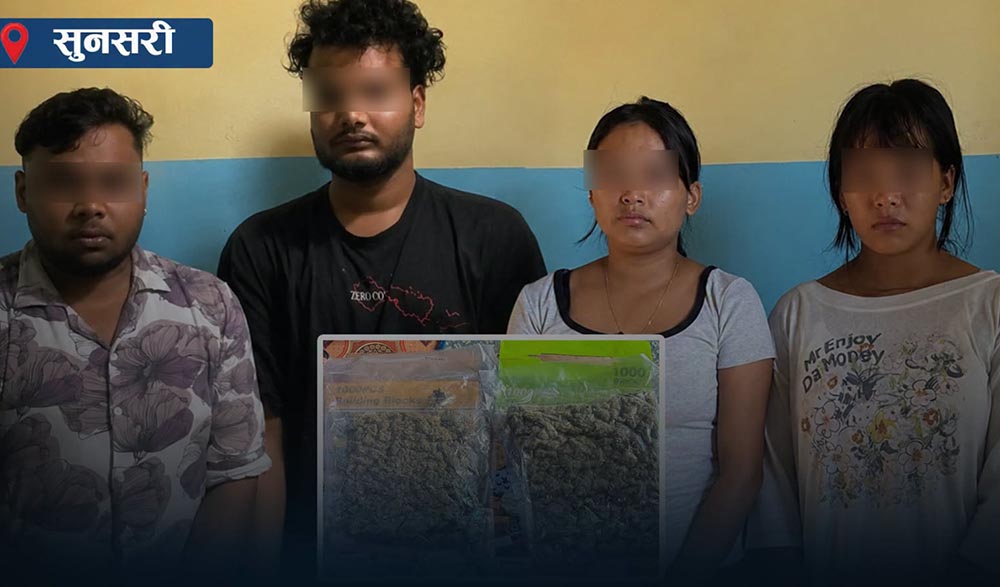 हुलाकबाट आएको पार्सलमा गाँजा भेटिएपछि...